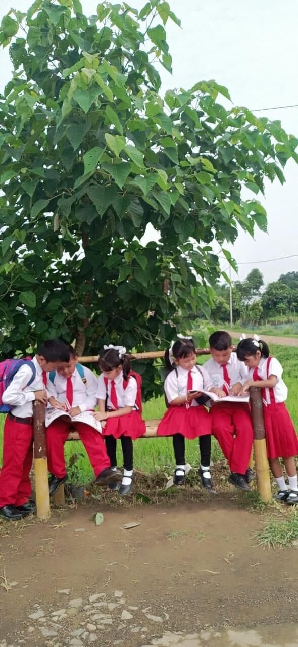Students sitting in the shade of a tree during a break