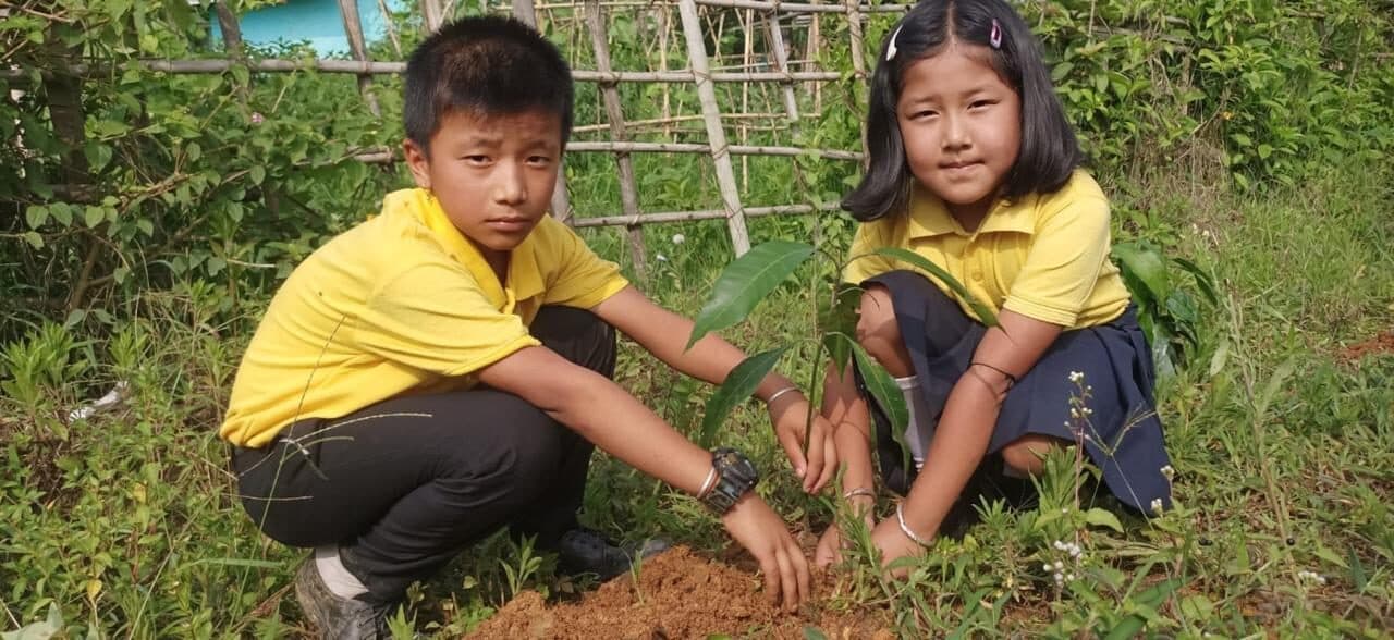 Children watering a newly planted sapling on school grounds